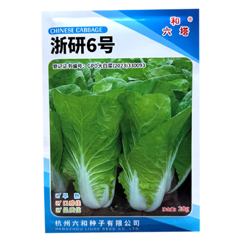浙研6号快菜种子杂交早熟小白菜种籽耐热耐湿生长快