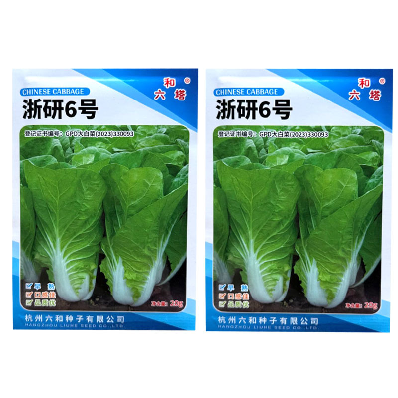浙研6号快菜种子杂交早熟小白菜种籽耐热耐湿生长快