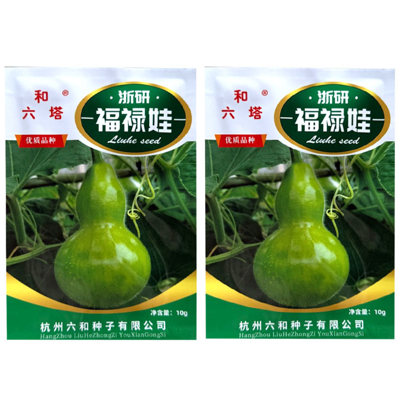 福禄娃葫芦种子早熟抗病浙研亚腰瓠瓜种籽蔓生无苦味