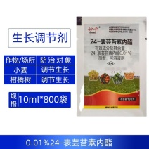 0.01%24表芸苔素内酯快速调节小麦柑橘树生长生长调节