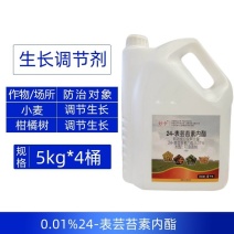 0.01%24表芸苔素内酯快速调节小麦柑橘树生长强力生长