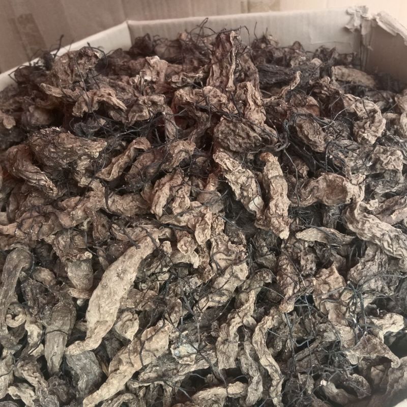 【精选】菌丝天麻纯干货***正品菌丝天麻天麻