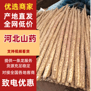 河北邯郸通身红正宗铁棍山药。保质保量。诚信是我们的坚守