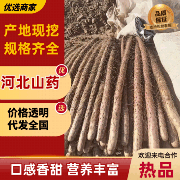 河北省邯郸市临漳县。铁棍基地。货源充足，欢迎各位老板来采