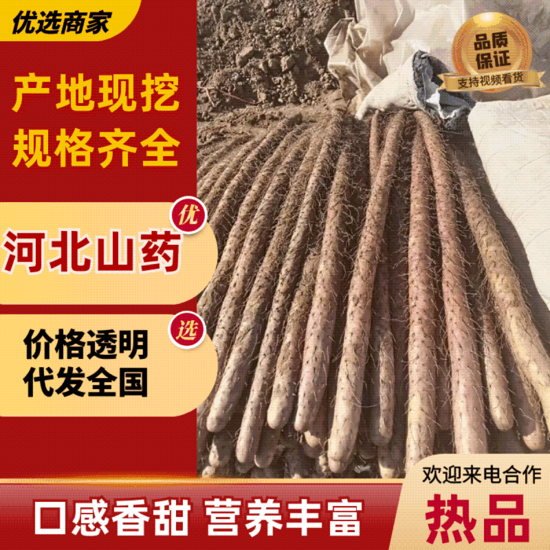河北省邯郸市临漳县。铁棍基地。货源充足，欢迎各位老板来采