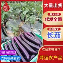 长茄子烧烤餐饮店都可发货质量保证量大从优