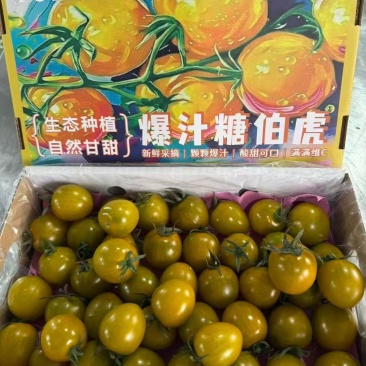 唐伯虎礼盒——小番茄，酸甜可口，入口爆汁。