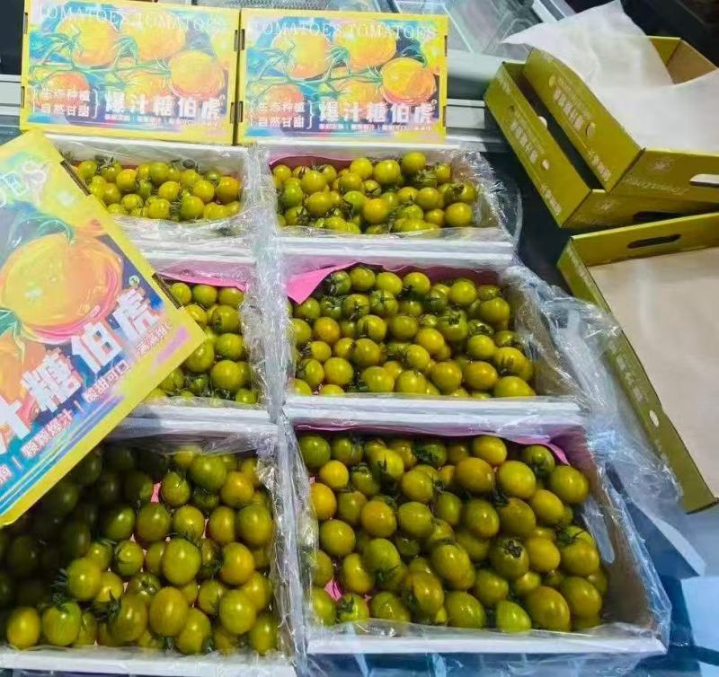 唐伯虎礼盒——小番茄，酸甜可口，入口爆汁。