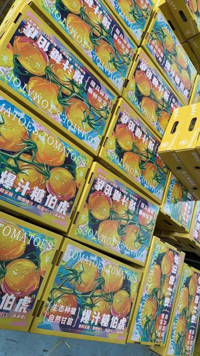 唐伯虎礼盒——小番茄，酸甜可口，入口爆汁。