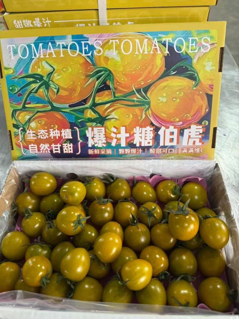 唐伯虎礼盒——小番茄，酸甜可口，入口爆汁。