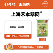 上海禾本翠网50%烯酰吗啉水分散颗粒剂100克