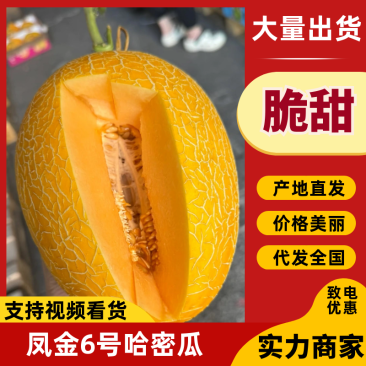 海南凤金6号乐东哈密瓜大量供应承接各大商超市场货