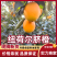 【热卖】纽荷尔脐橙广西橙子产地直供量大优惠