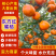 东方红蜜桔精品柑桔产地一手货源现摘现发量大从优