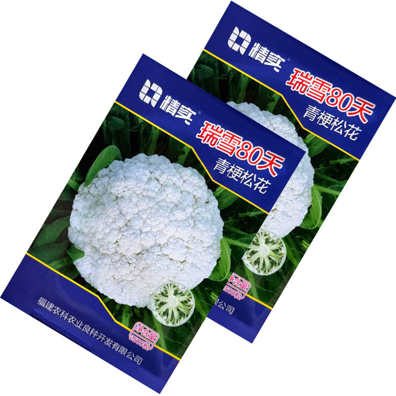 瑞雪80天青梗松花菜种子松散花椰菜中熟高产大田春秋花菜籽