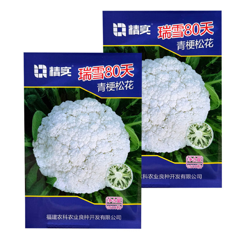 瑞雪80天青梗松花菜种子松散花椰菜中熟高产大田春秋花菜籽
