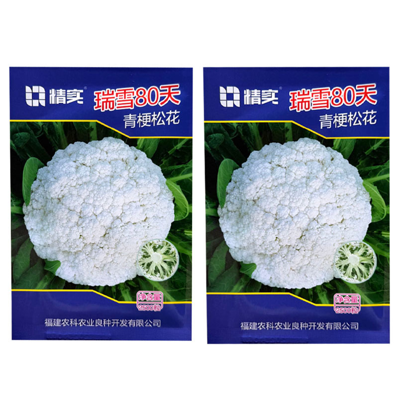 瑞雪80天青梗松花菜种子松散花椰菜中熟高产大田春秋花菜籽