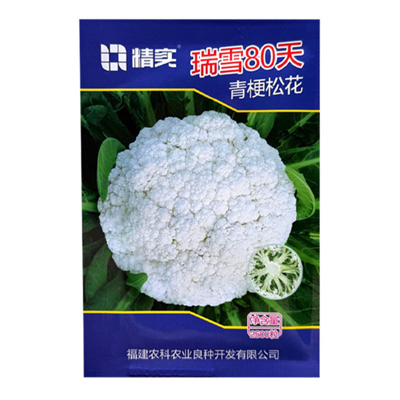 瑞雪80天青梗松花菜种子松散花椰菜中熟高产大田春秋花菜籽