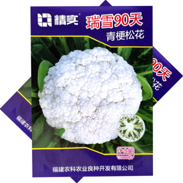 瑞雪90天青梗松花菜种子杂交中晚熟耐低温球面平坦洁白