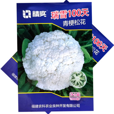 瑞雪100天青梗松花菜种子晚熟耐寒花球圆整花蕾白美
