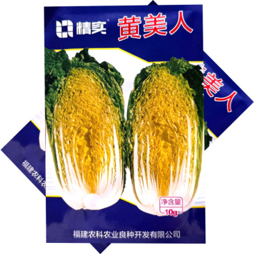 黄美人黄心娃娃菜种子圆筒形耐抽苔内芯金黄叠抱紧实