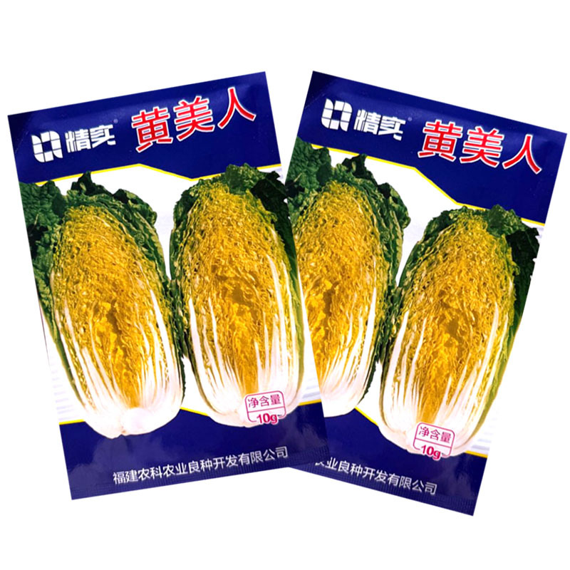 黄美人黄心娃娃菜种子圆筒形耐抽苔内芯金黄叠抱紧实