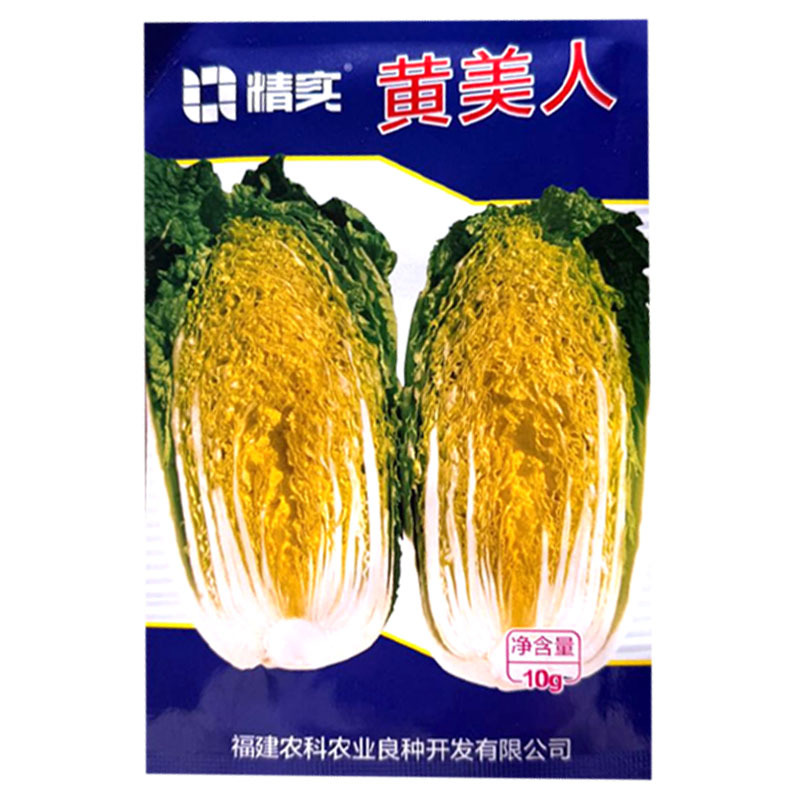 黄美人黄心娃娃菜种子圆筒形耐抽苔内芯金黄叠抱紧实