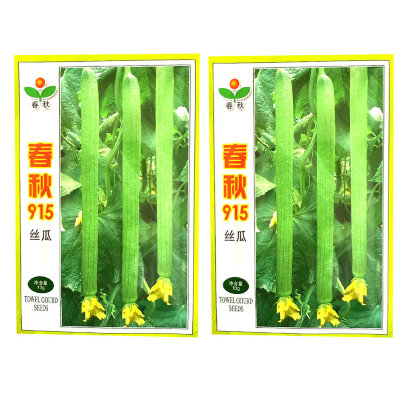 春秋915丝瓜种子早熟长丝瓜种子无限生长带顶花耐贮运