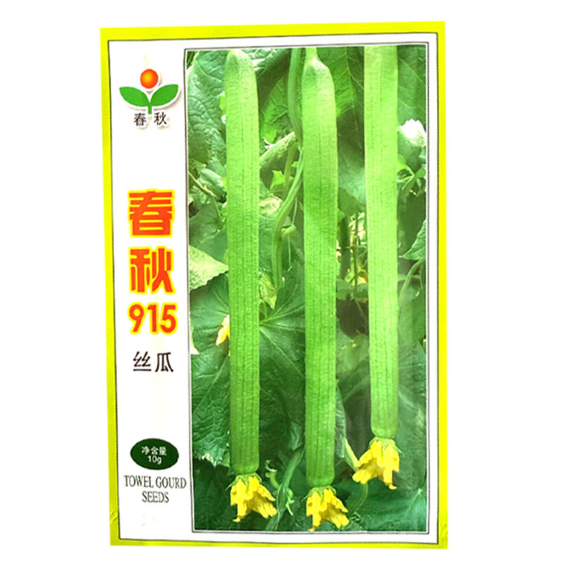 春秋915丝瓜种子早熟长丝瓜种子无限生长带顶花耐贮运