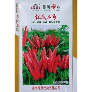 湘研红爪二号簇生朝天椒种子尖椒种籽香辣味浓高产辣椒抗病