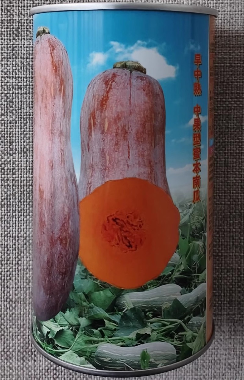 金品蜜本南瓜种子中果型秘本蜜本南瓜种籽细腻味甜优质高产