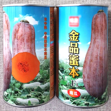 金品蜜本南瓜种子中果型秘本蜜本南瓜种籽细腻味甜优质高产