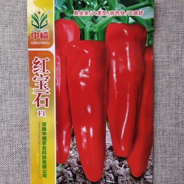 红宝石辣椒种子早熟长粗大果牛角椒红辣椒种籽转色快青果油绿