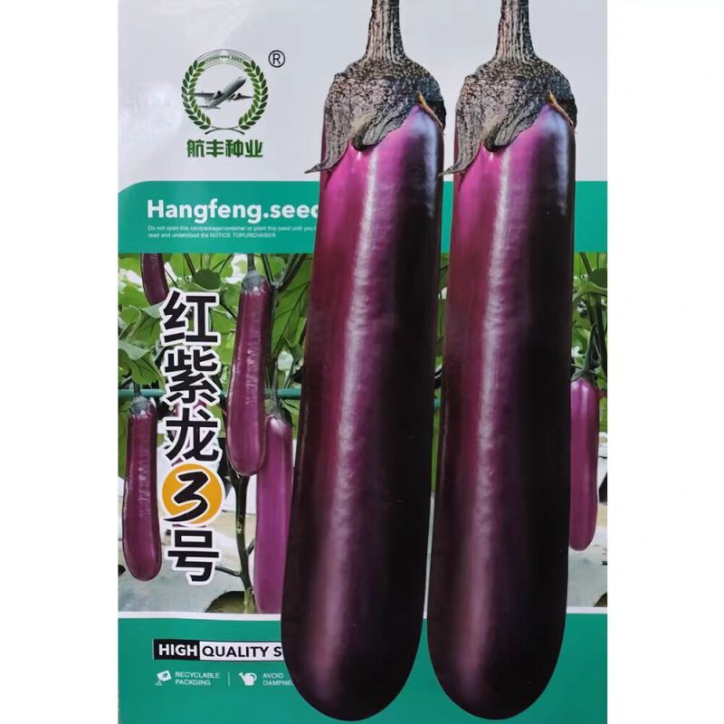 红紫龙3号早熟紫红长茄种子长势旺坐果多茄条顺直深紫长茄子
