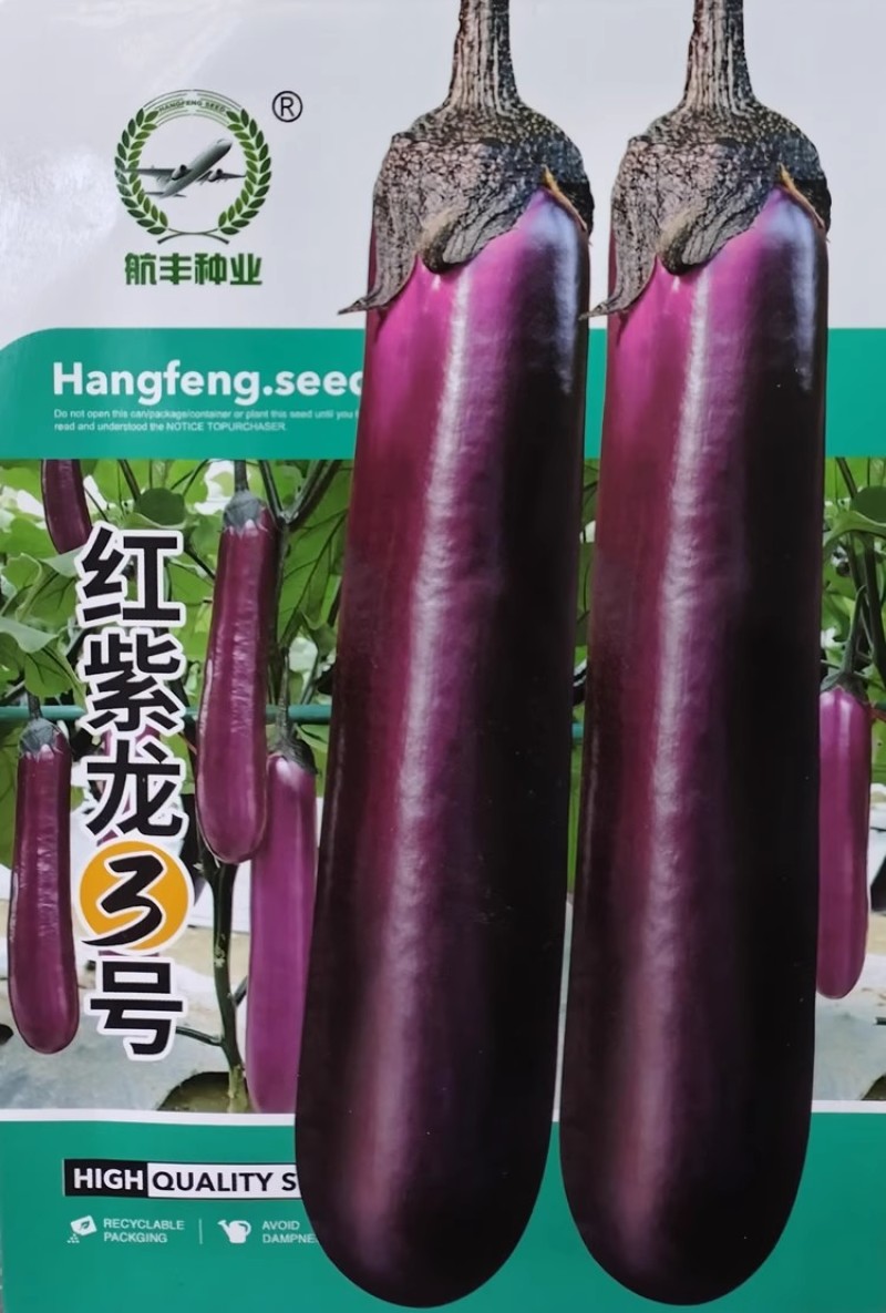 红紫龙3号早熟紫红长茄种子长势旺坐果多茄条顺直深紫长茄子