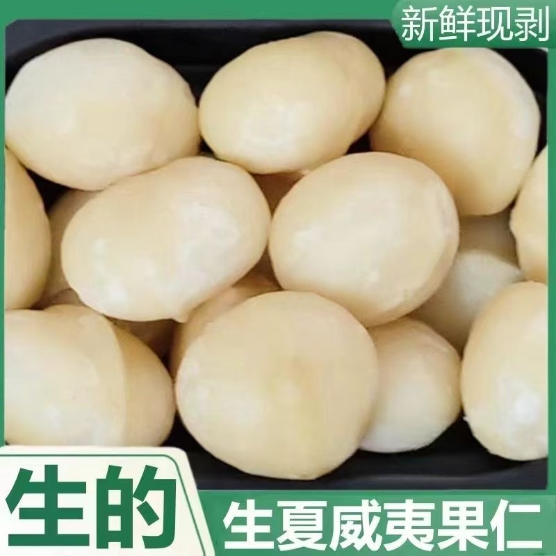 2025年新鲜采摘去壳夏威夷果仁未加工原果