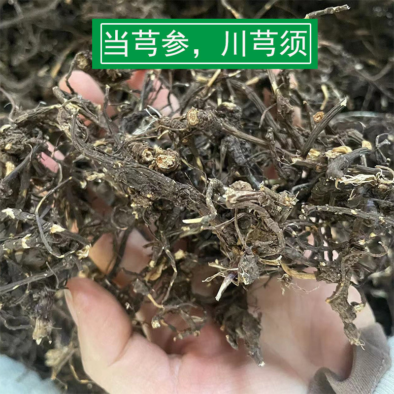 龙须参当穹参云南道地药材山川芎小叶川芎野外生芎穷