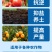 有机水溶肥深海鱼蛋白深海鱼蛋白原浆