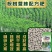 桉树肥速生桉桉树肥厂家直供30含量