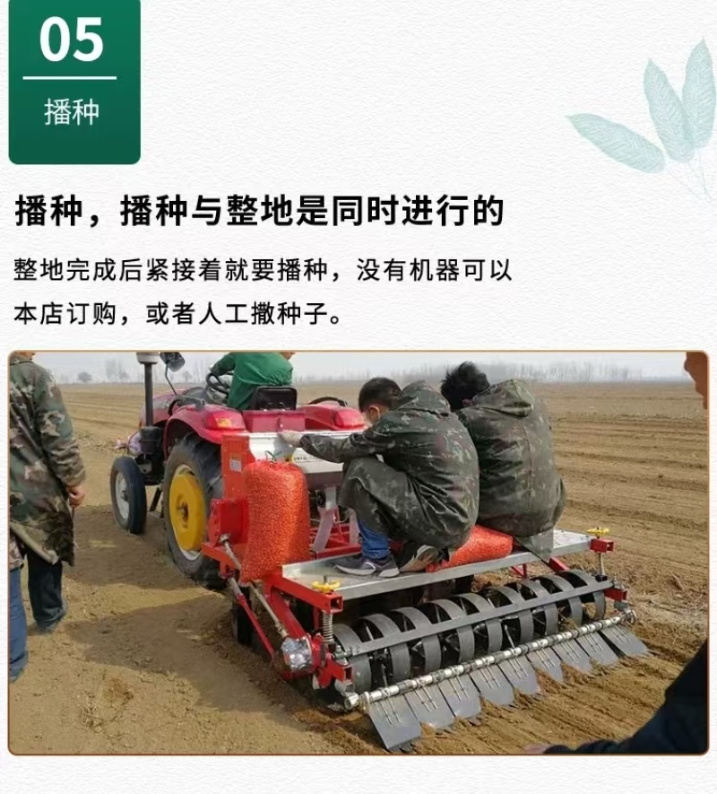 黄芩种子黄芩籽一斤起批包邮