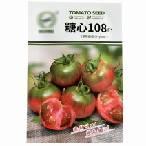 糖心108草莓番茄种子早熟水果甘蓝绿果抗病春秋种植
