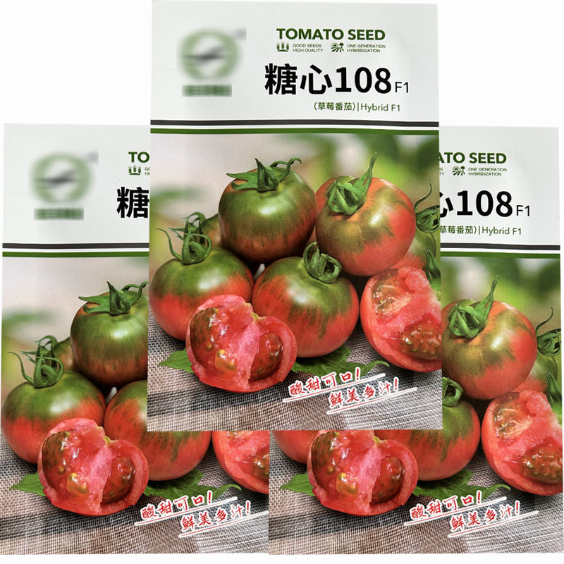糖心108草莓番茄种子早熟水果甘蓝绿果抗病春秋种植