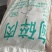 鸡大胸碎肉鸡胸碎肉鸡小胸碎肉长期稳定供应屠宰企业直供