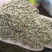 牛膝种子牛膝籽一斤起批包邮