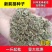 前胡种子前胡籽支持批发零售一斤起批包邮