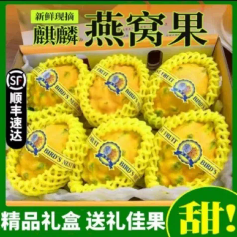 海南燕窝果