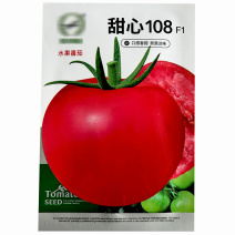 甜心108水果番茄种子大果硬度好粉红色中早熟基地种