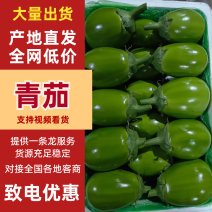 精品茄子小秧茄大量上市色泽光亮个头均匀产地直发