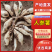 热卖中周口各种红薯人参薯基地直供量大从优实力代发全国