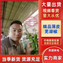 费县新鲜精品薄皮芜湖椒电商市场批发超市直供，原产地直供